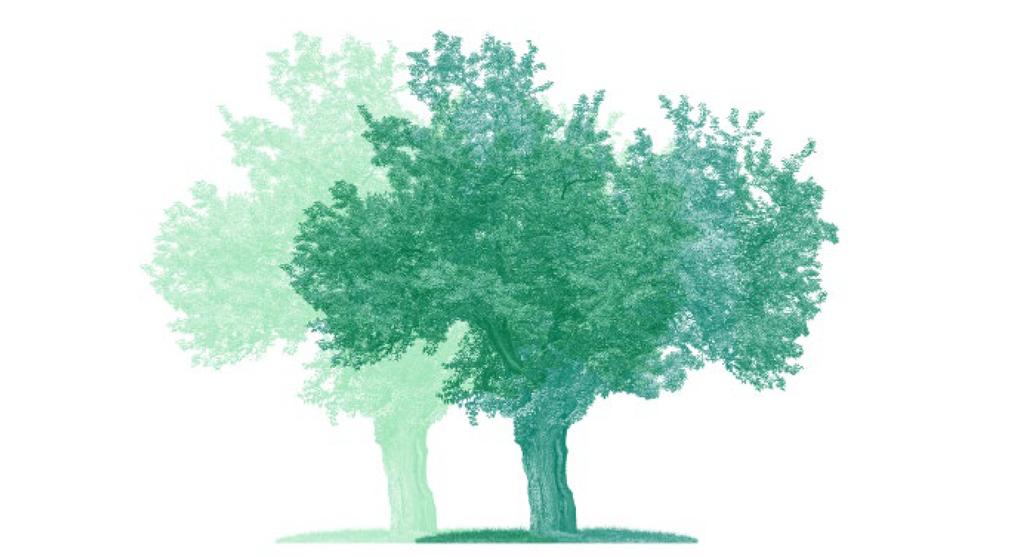The 2017 Tree Charter: A response from the Legal Sustainability Alliance In 2017 more than 70 organisations from across the UK, including the Legal Sustainability Alliance (LSA), came together to