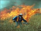 Grassland restoration process Crop land periodical burns Tallgrass