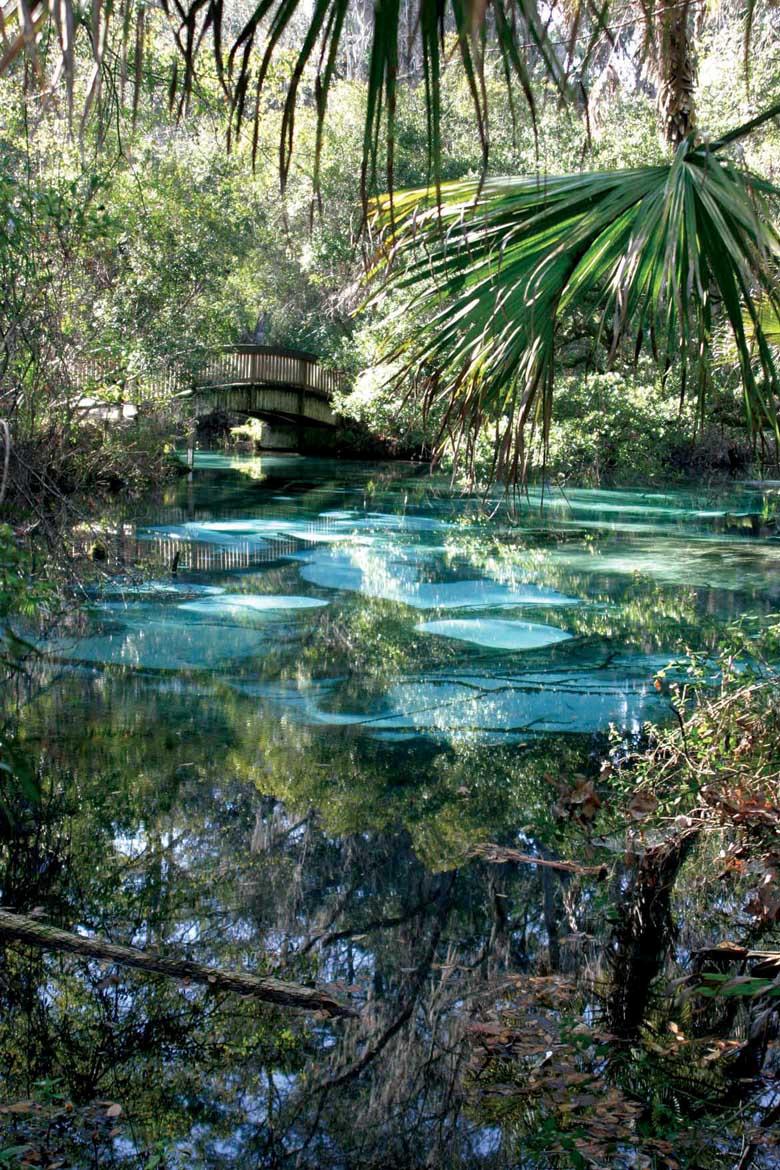 Research and Monitoring Update of old FGS Bulletin 31 to NEW Springs of Florida - Bulletin 66 Springs of Florida Available on-line: www.dep.