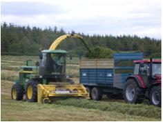 & Transportation Biomass Production Harvest &