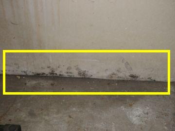 5 Garage Walls Condition Drywall Unfinished 51 Personal items prevented full inspection 52 Moisture stains noted; area was dry at time of the inspection [3] 6 Garage Ceiling Condition Unfinished