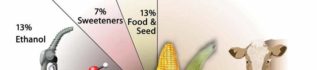 Corn Usage -