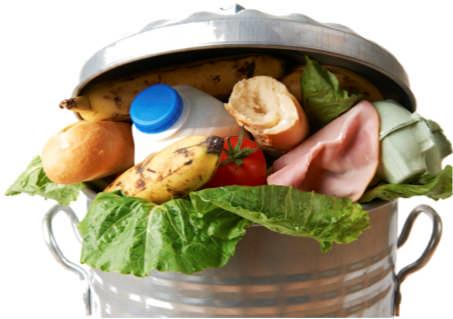 Wasted Food has Widespread Consequences 10 Economic Impact 160 billion lbs. = $166 billion & $1 billion to dispose of it Buzby,and J. Hyman.