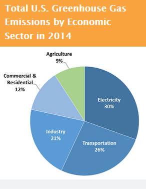 Agricultural Impact EPA, Sources of Greenhouse Gas Emissions, 2014 19 Dairy Farmers are Committed to Sustainable Nutrition Over the last 60 years, the dairy industry has: Increased