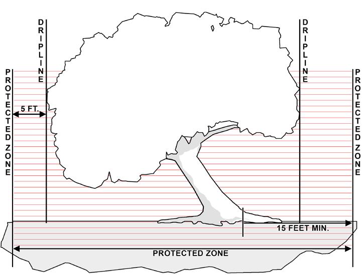 Figure 2: The Tree Protection Zone The Protection Zone extends out from
