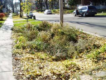 50 Root Depth (ft) 2 6 Recent Bioretention Retrofit Projects in Commercial and Residential Areas in Madison, WI Enhanced Infiltration and Groundwater