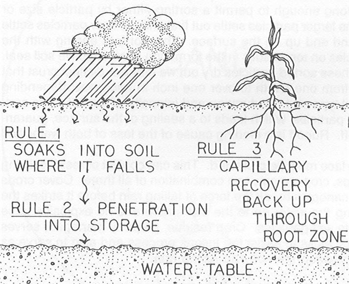 RULES FOR MANAGING SOIL WATER From: