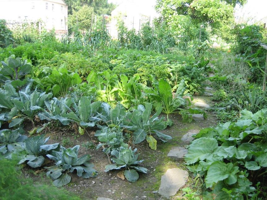 SUSTAINABLE GARDENING PRACTICES A sustainable garden is based on ecologically-sound soil management practices which aim to maintain and replenish soil fertility by