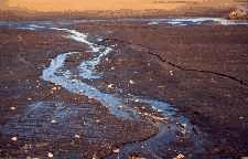 EROSION Water & wind carry soil into streams, lakes, ocean, sewers. With soil comes pollutants - oil, fertilizers, pesticides & other chemicals, animal manures, bacteria all threaten water quality.