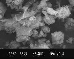 powders also show a porous structure.