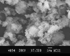 Small particles and pores are the characteristics of the phosphors obtained from the combustion process [163].