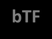 Bennal Task Force btf and