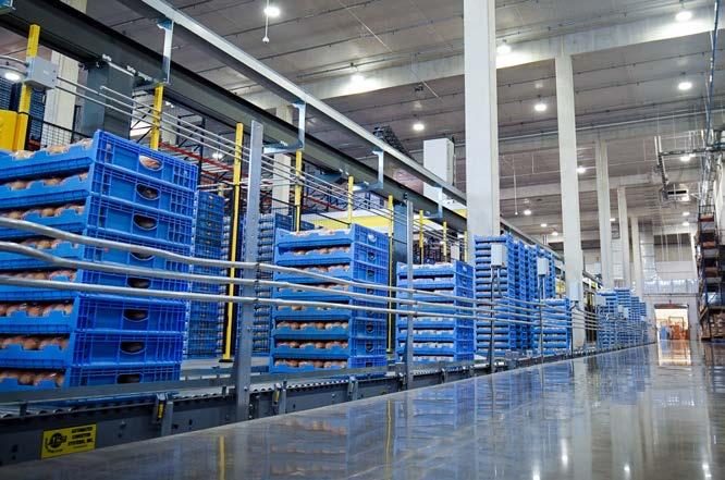 AUTOMATED CRATE AND TRAY PICKING SOLUTION An automated case picking system can help warehouses and distribution centers rapidly handle large volumes of products in plastic crates or bins with robots