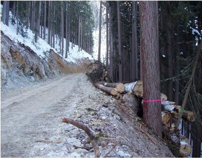 Road construction procedure Completion 2013 Stampfer Forest Engineering 61 Forest road construction Cost estimation Average Construction conditions Costs [ /m] Easy up to moderate slopes (mountainous