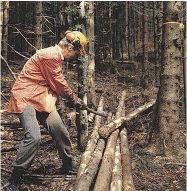 Stampfer Forest Engineering 13 Chain saw and
