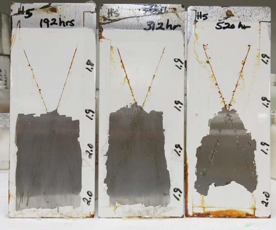 Figure 9: Sample containing Eco-Friendly pigment inhibitor Results in Figure 9 shows the coating made using only the non-toxic metal complex inhibitor.