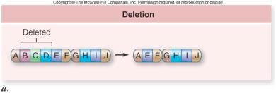 Mutation: Altered Genes triplet repeat expansion mutations involve a sequence of 3 DNA nucleotides that are repeated many times