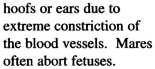 hoofs or ears due to extreme constriction of the blood vessels. Mares often abort fetuses.