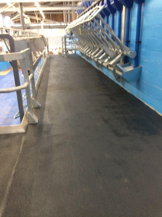 FLEXSCREED SEAMLESS PARLOUR RUBBER It is a fact that the best dairy environments with correct cow comfort provide the greatest benefits for good health and improved productivity.