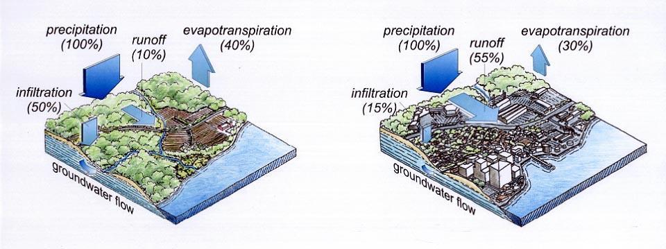 Natural Conditions Conventional Development Infiltration/recharge to groundwater supplies Natural filtration of pollutants by vegetation Minimal