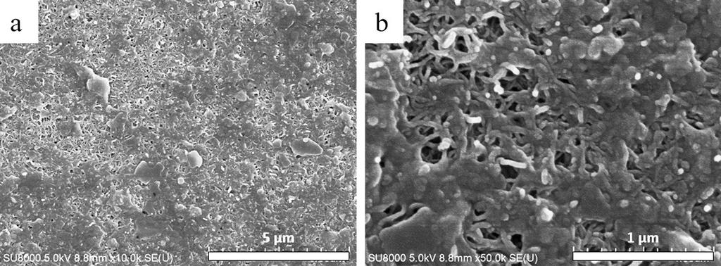 Fig. S3. Magnified TEM image of HBPE-g-PtBMA/MWCNTs dispersion with mass ratio of HBPE-g-PtBMA/MWCNTs=2.0. Fig. S4. SEM a) and magnified SEM b) image of the conductive film. Fig. S5.