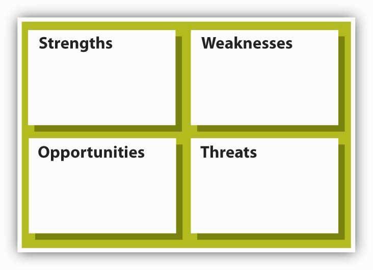 Strategic Inputs So what are the inputs into strategizing?
