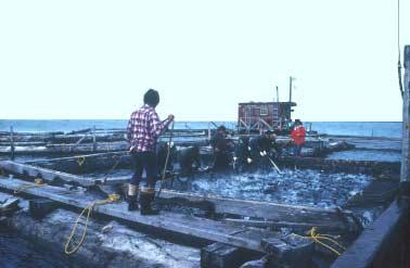 Control by outside interests Unmanageable fish traps Fishery depletion