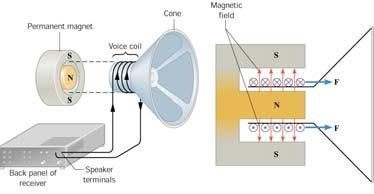 Application: force in a speaker When a current is present in a coil, it The