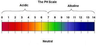 How does ph affect a water system?
