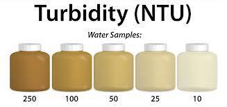 How does turbidity affect the health of water systems?