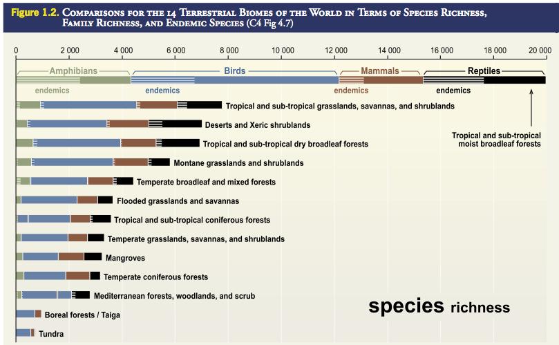 Today s Focus: Species How many do we have? Estimated: 5 to 30 million animal & plant species Documented: ~1.