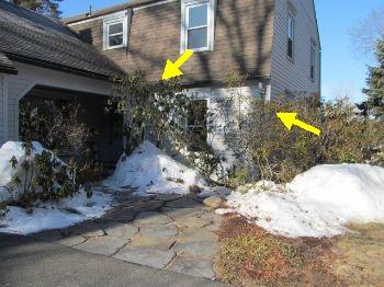 Vegetation in contact with building Driveway / walkway Porches & Decks Earth in contact
