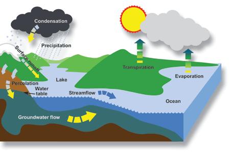The Water Cycle GROUP Why is water so important? The Water Cycle The water cycle includes the processes of: 1. water changes from liquid to a gas (vapor) with the sun s energy 2.