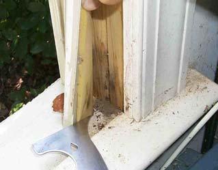 Where To Inspect Windows For Moisture (cont.