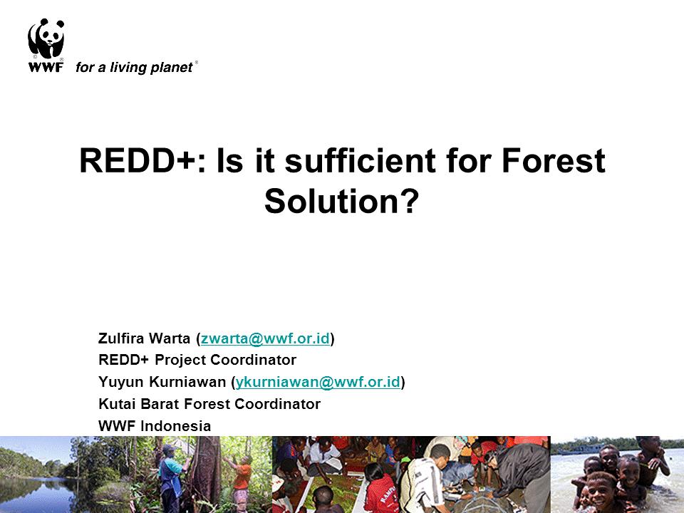 REDD+: Is it sufficient for Forest Solution?