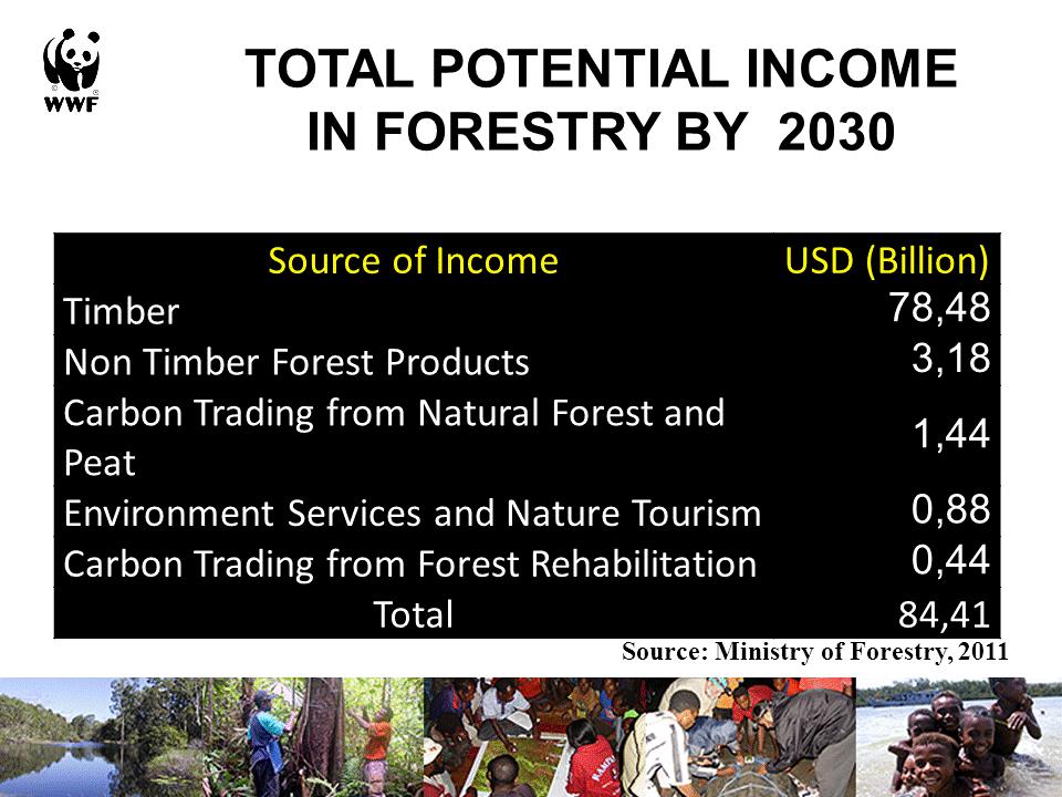 When we look at the projections of the government in terms of the forestry sectors, we still can see much of the source of the income expected from the forest sector is still from timber and the