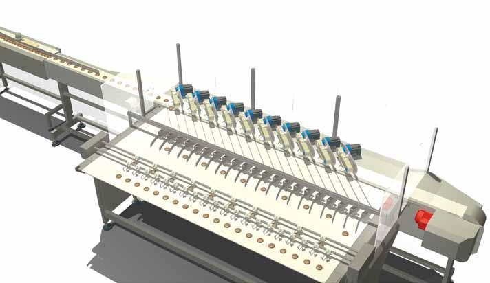 The LINEMASTER is a unique Houdijk product row forming system for nonuniform shaped products.