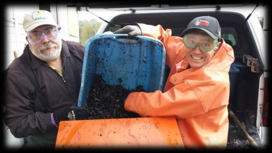 The project generated a marketable product: Surf-to-Turf compost 4.
