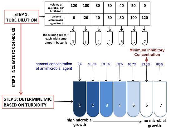 microbroth dilution assays to determine the mínimum