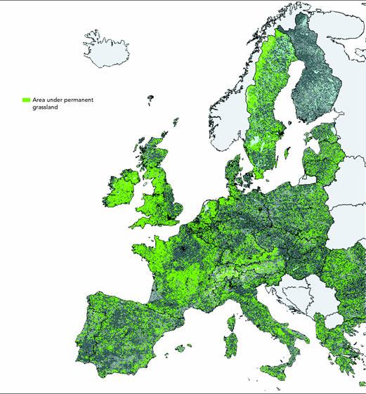 fr Permanent grasslands in Europe EU15 (1995) 35% UAA - 44.