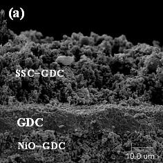 Figure 4-21 (a) Cross-sectional view of solid oxide fuel cell with SSC-GDC cathode fabricated by a