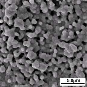(a) (b) (c) (d) Figure 4-32 SEM images of pellet