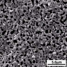 hrs. (c) Surface view of pellet after reduction at