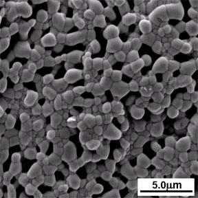 (a) (b) (c) (d) Figure 4-33 SEM images of pellet