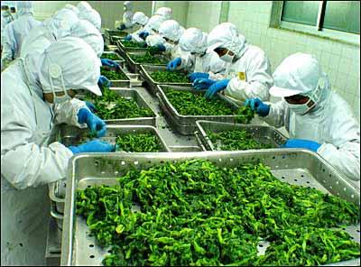 million USD has collected to invest the 35 agro-industrial enterprises development programs.