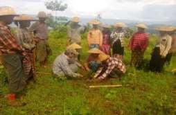Salient points of Community Forestry Any land at the disposal of the state