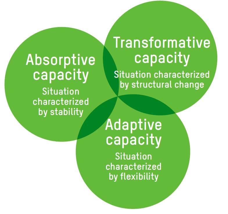 Figure 5.1: Three resilience capacities Absorptive capacity is the capacity to take intentional protective action to cope with shocks and stresses.
