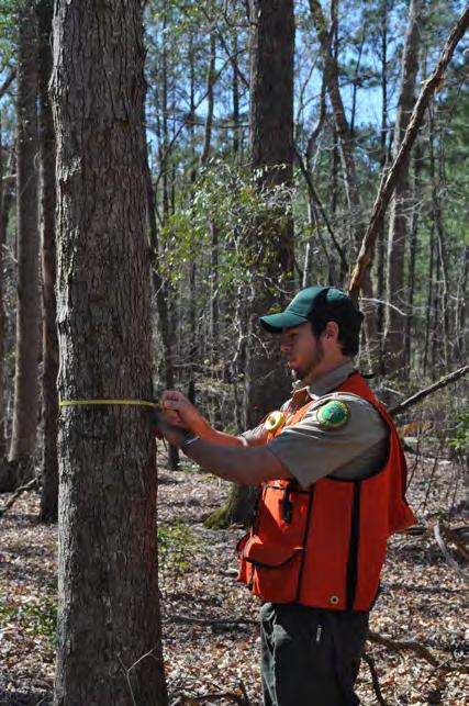 Forest Inventory Analysis STEM Skills Tree physiology Tree identification Measurement, Estimation, &