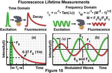 Fluorescence is, of course, one thing that can happen to the molecule.