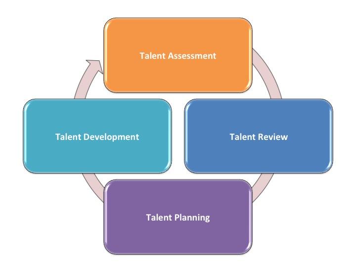 Build the Talent Pipeline: A Four Step Guide to Implementing Succession Planning Succession Planning provides the framework and structure for identifying and understanding leadership talent in the